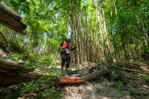 BIB: 
                            <button type="button" onclick="openModal(19387056)" class="btn btn-primary btn-sm float-right btn-popup" data-toggle="modal" data-target=".modal-high-quality">
                        <i class="fas fa-shopping-cart"></i> Add to Cart
                    </button>
                                            <button type="button" onclick="isThisMe(19387056, true)" class="btn btn-success btn-sm float-right btn-popup btn-isme hidden" data-toggle="tooltip" data-placement="bottom" title="นี่คือรูปของคุณใช่ไหม คลิกที่นี่เพื่อเอาเข้าอัลบั้ม">
                        <i class="fas fa-plus"></i> Add to album
                    </button>
                    <button type="button" onclick="isThisMe(19387056, false)" class="btn btn-warning btn-sm float-right btn-popup btn-isnotme hidden">
                        <i class="fas fa-ban"></i> Remove from album
                    </button>